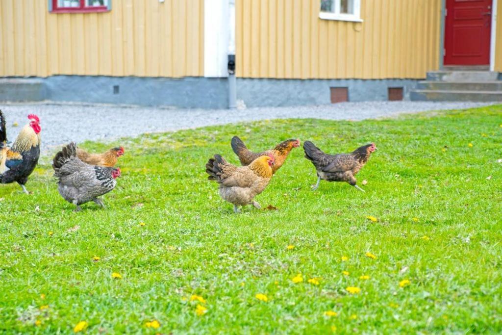 Vaestervik Rum Och Stugor Buitenkant foto